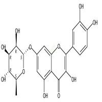 槲皮素-7-O-鼠李糖苷