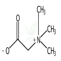 甜菜碱  Betaine