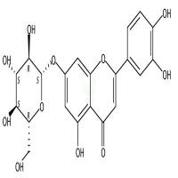 木犀草苷  CAS号：5373-11-5