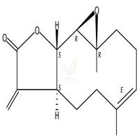 小白菊内酯  parthenolide