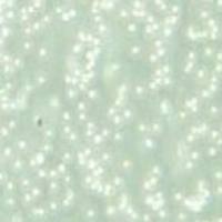 CEM/C1 人急性淋巴细胞白血病细胞