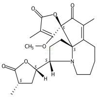 原百部次碱 CAS号:169534-85-4