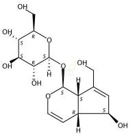 桃叶珊瑚苷  Aucubin