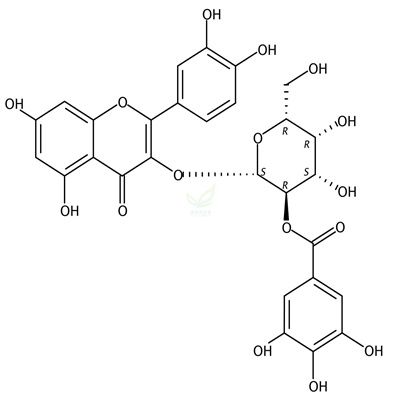 2”-O-没食子酰基金丝桃苷  CAS号：53209-27-1