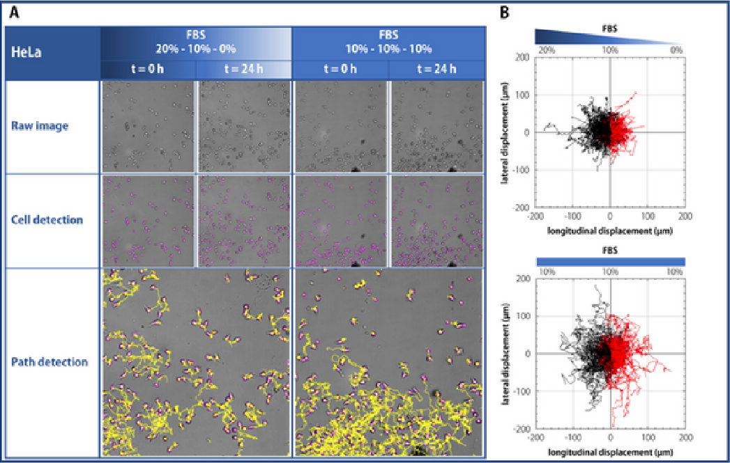 产品细节图片12