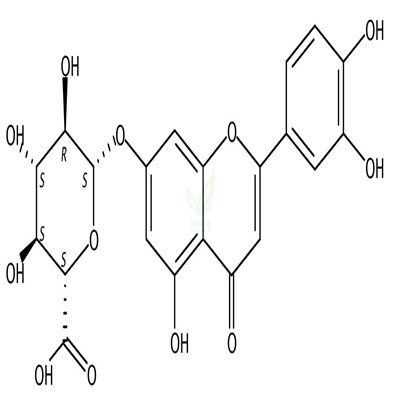 木犀草素-7-葡萄糖醛酸苷  CAS号：29741-10-4