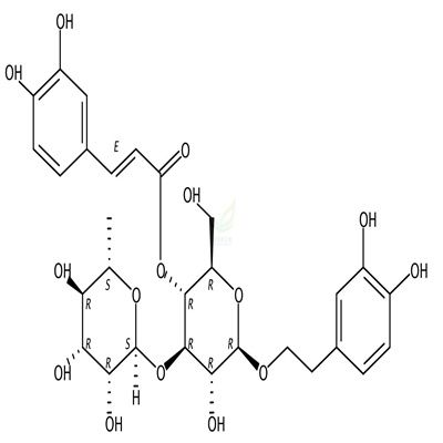 毛蕊花糖苷 acteoside