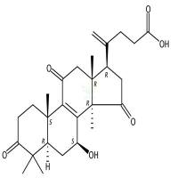 20(21)-脱氢赤芝酸A  852936-69-7