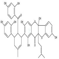 桑根酮D  CAS号：81422-93-7