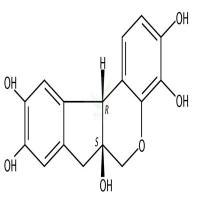 苏木素  CAS号：517-28-2