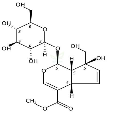 异栀子苷  