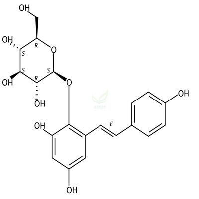 2,3,5,4-四羟基二苯乙烯葡萄糖苷  CAS号：82373-94-2