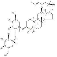 R型人参皂苷Rg3  CAS号：38243-03-7