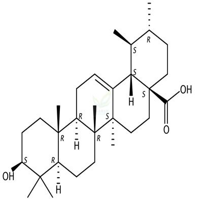 熊果酸  Ursolic Acid