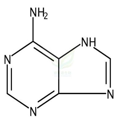 腺嘌呤  Adenine