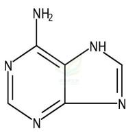 腺嘌呤  Adenine