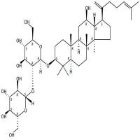 人参皂苷Rk1 CAS号:494753-69-4