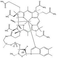 维生素B12 Vitamin B12