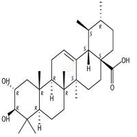 科罗索酸  CAS号：4547-24-4