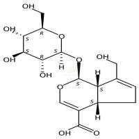 京尼平苷酸  CAS号：27741-01-1