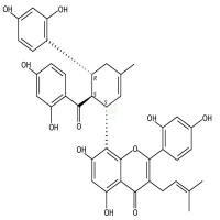 桑黄酮G  CAS号：75629-19-5