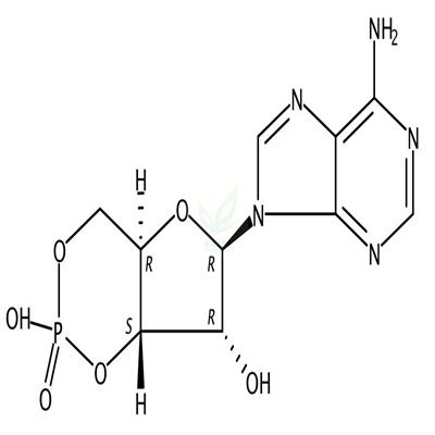 环磷酸腺苷  CAS号：60-92-4
