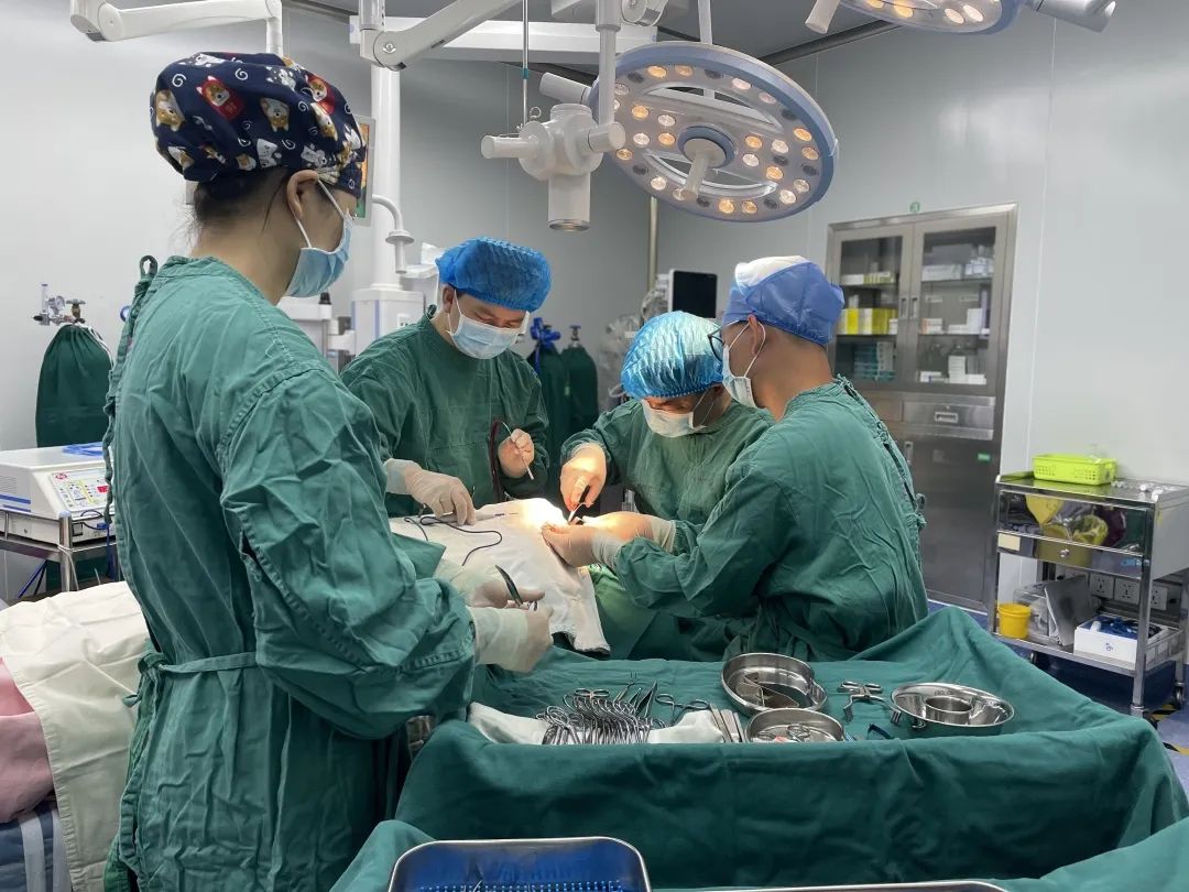 眼眶内藏着比眼球还大的「肿瘤」！柳州市红十字会医院眼五病区妙手「拆弹」