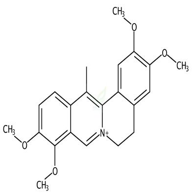 脱氢紫堇碱  Dehydrocorydaline