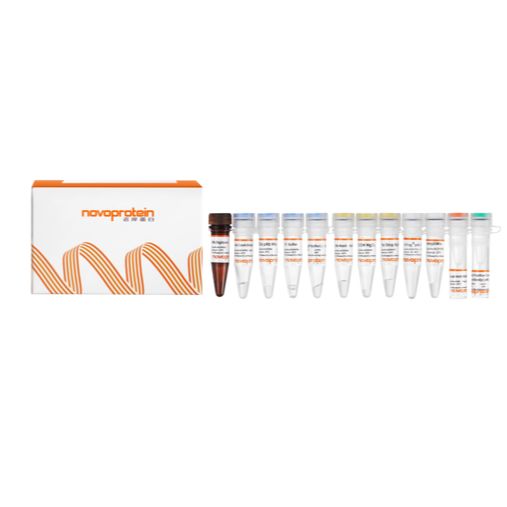 NovoNGS® CUT&Tag® 4.0 High-Sensitivity Kit (for Illumina®)