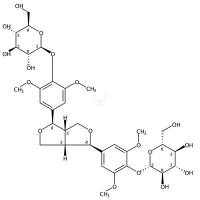 (-)-丁香脂素二葡萄糖苷