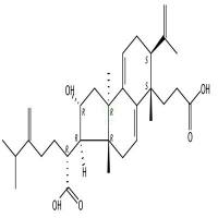 茯苓酸A   137551-38-3