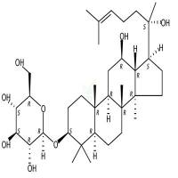 人参皂苷Rh2 CAS号:78214-33-2
