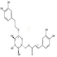 木通苯乙醇苷B  CAS号：105471-98-5
