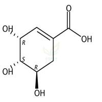 莽草酸  CAS号：138-59-0