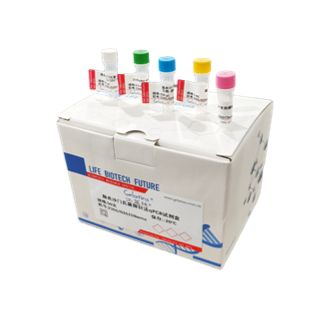 鸡白痢沙门氏菌PCR试剂盒