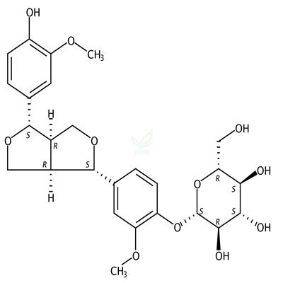 (+)-松脂素-β-D-吡喃葡萄糖苷
