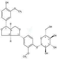 (+)-松脂素-β-D-吡喃葡萄糖苷 