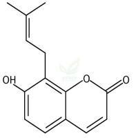 王草酚  CAS号：484-14-0