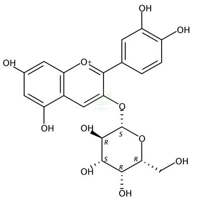 矢车菊素-3-O-半乳糖苷  CAS号：142506-26-1
