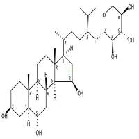 Rathbunioside R1  CAS号：350689-78-0