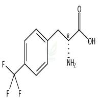 4-(Trifluoromethyl)-D-phenylalanine CAS号:114872-99-0