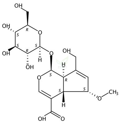 6-甲氧基京尼平苷酸  CAS号：1215178-87-2