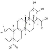 远志酸  CAS号：1260-04-4