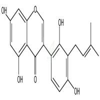 甘草异黄酮A  CAS号：66056-19-7