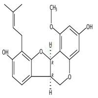1-甲氧基菜豆素  CAS号：65428-13-9