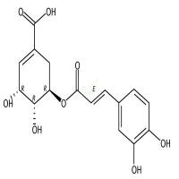 5-O-咖啡酰莽草酸  CAS号：73263-62-4