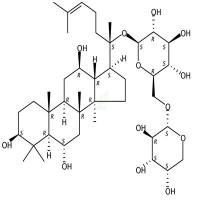 人参皂苷F3  CAS号：62025-50-7