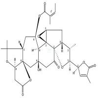 五味子二内酯A  CAS号：945610-99-1