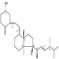 维生素D2  CAS号：50-14-6
