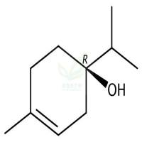 4-萜品醇  CAS号：20126-76-5